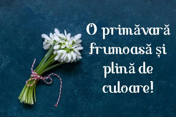 O primăvară frumoasă și plină de culoare!